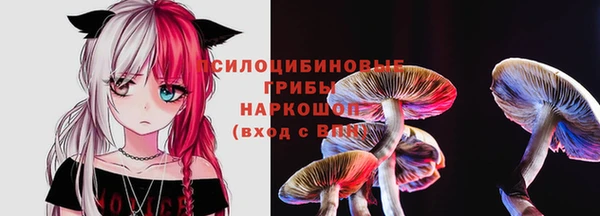 кокс Белокуриха