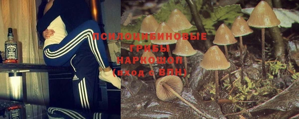 jwh Тайга